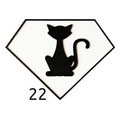 pattern_22 (changer)