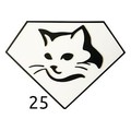 pattern_25