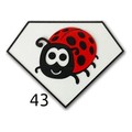 pattern_43