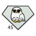 pattern_45