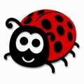 ladybird