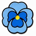 blue flower